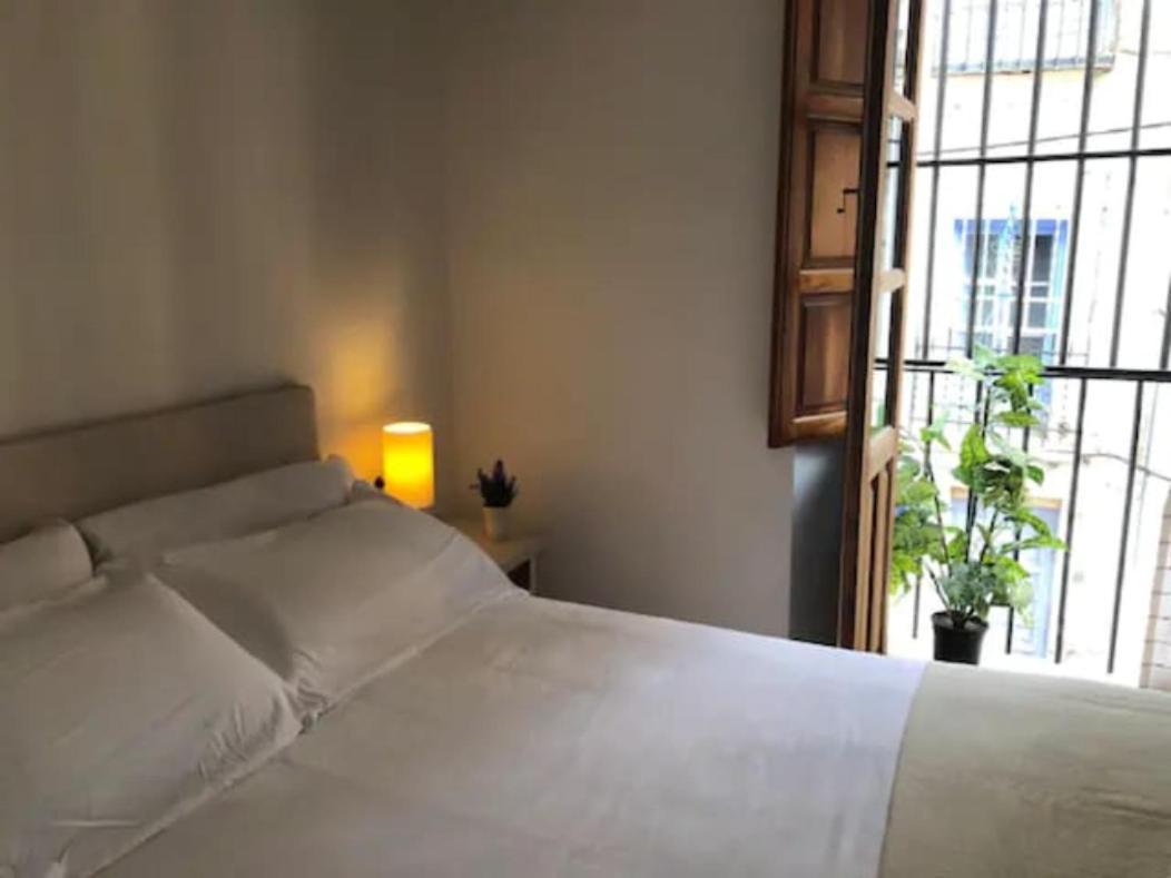 Apartamento Completo Reformado En Arco De Elvira - Centro Гранада Екстериор снимка